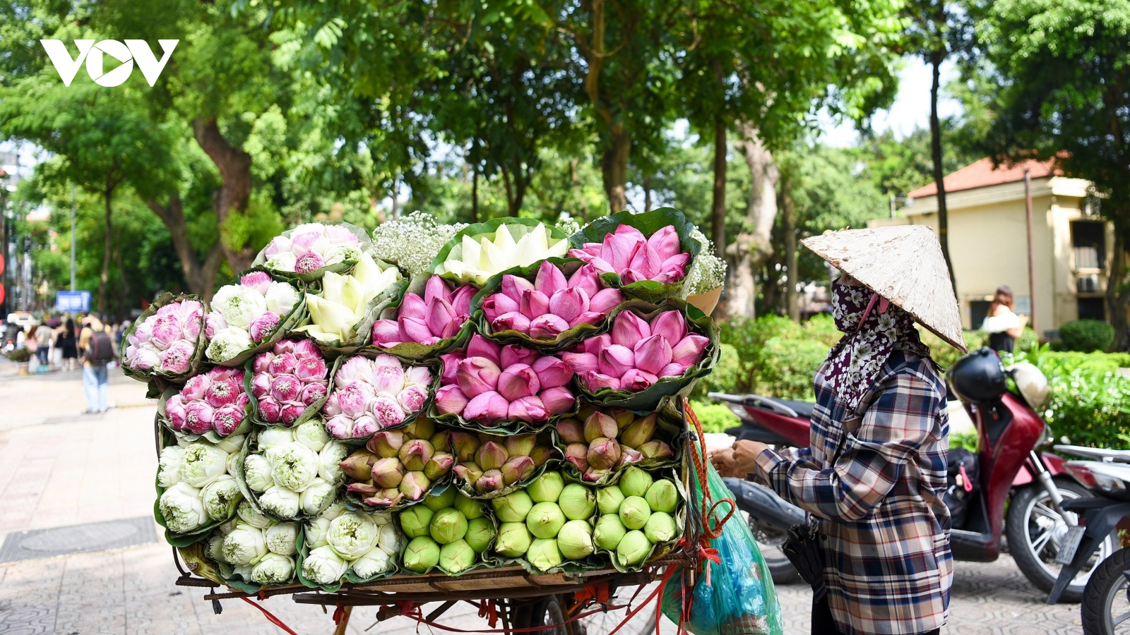 Những gánh hàng hoa “chở” Hà Nội vào Thu